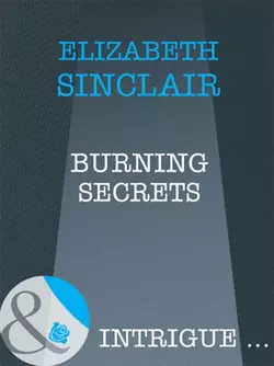 Burning Secrets, Elizabeth Sinclair