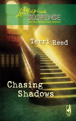 Chasing Shadows Terri Reed