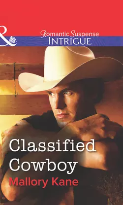 Classified Cowboy, Mallory Kane