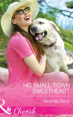 His Small-Town Sweetheart Amanda Berry