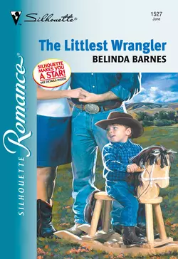 The Littlest Wrangler Belinda Barnes