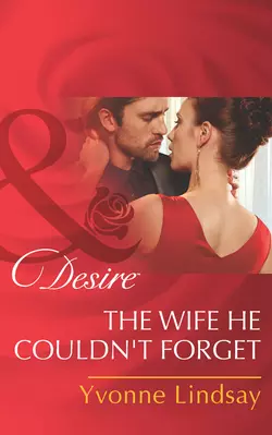 The Wife He Couldn′t Forget, Yvonne Lindsay