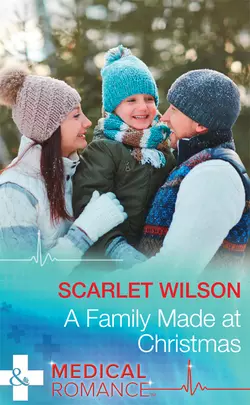 A Family Made At Christmas, Scarlet Wilson