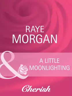 A Little Moonlighting Raye Morgan