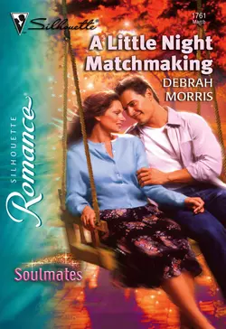 A Little Night Matchmaking, Debrah Morris