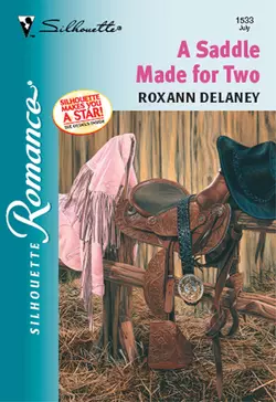 A Saddle Made For Two Roxann Delaney