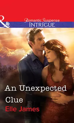 An Unexpected Clue Elle James