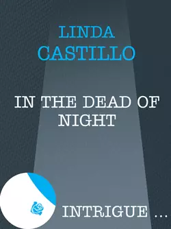 In The Dead Of Night, Linda Castillo