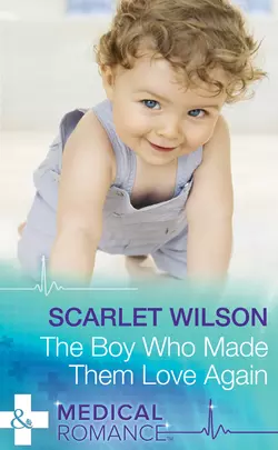 The Boy Who Made Them Love Again, Scarlet Wilson