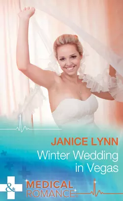 Winter Wedding In Vegas Janice Lynn