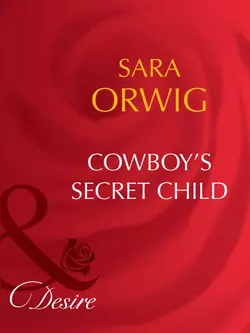 Cowboy′s Secret Child Sara Orwig