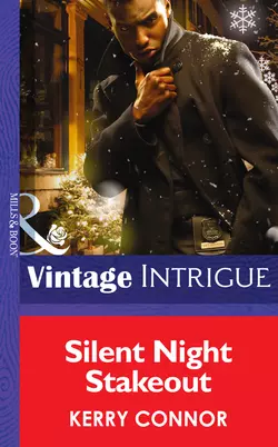 Silent Night Stakeout, Kerry Connor