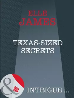 Texas-Sized Secrets, Elle James