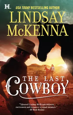 The Last Cowboy, Lindsay McKenna