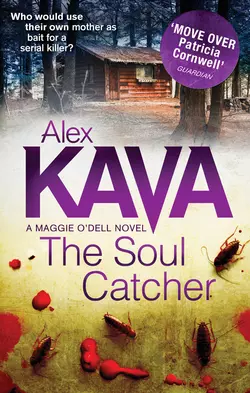 The Soul Catcher Alex Kava