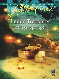 Hidden Treasures, Kathryn Springer