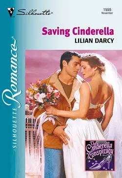 Saving Cinderella, Lilian Darcy