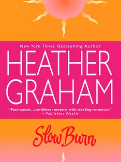 Slow Burn Heather Graham Pozzessere