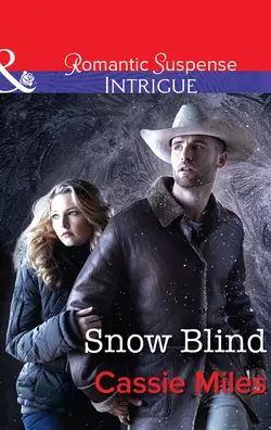 Snow Blind, Cassie Miles