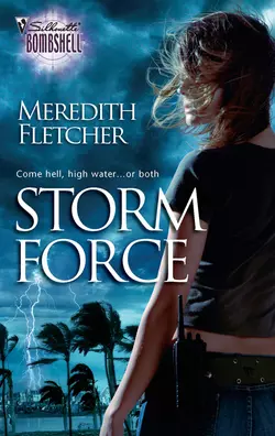 Storm Force Meredith Fletcher