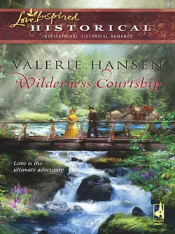 Wilderness Courtship Valerie Hansen