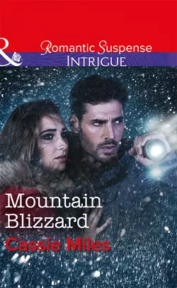 Mountain Blizzard, Cassie Miles