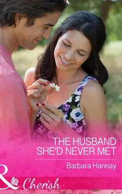 The Husband She′d Never Met Barbara Hannay