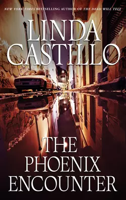 The Phoenix Encounter, Linda Castillo