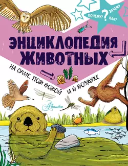 Энциклопедия животных: на суше, под водой и в воздухе, Джон Фарндон