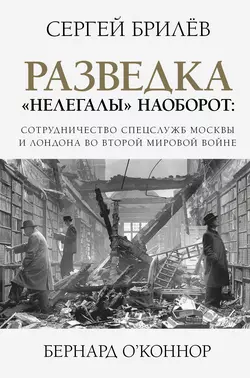 Разведка. «Нелегалы» наоборот, Сергей Брилёв