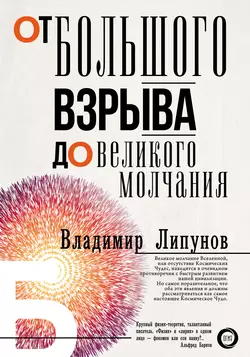 От Большого Взрыва до Великого Молчания, Владимир Липунов