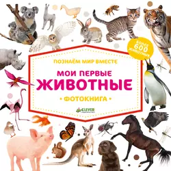 Мои первые животные 