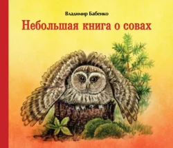 Небольшая книга о совах, Владимир Бабенко