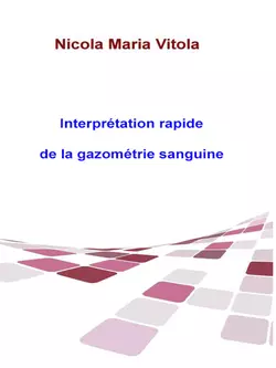 Interprétation Rapide De La Gazométrie Sanguine, Oreste Maria Petrillo