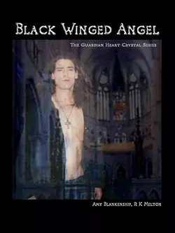 Black Winged Angel, Amy Blankenship