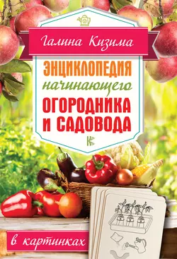 Энциклопедия начинающего огородника и садовода в картинках, Галина Кизима