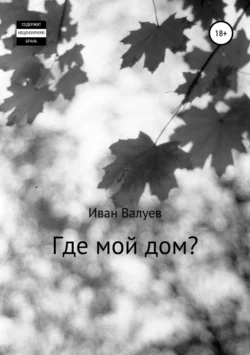 Где мой дом?, Иван Валуев