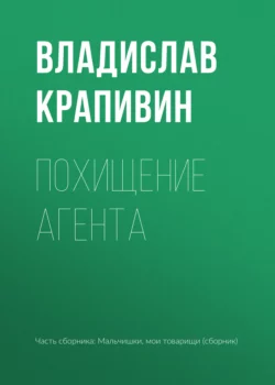 Похищение агента, Владислав Крапивин