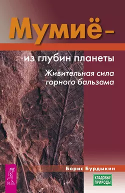 Мумие – из глубин планеты. Живительная сила горного бальзама, Борис Бурдыкин