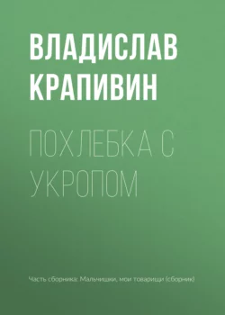 Похлебка с укропом, Владислав Крапивин