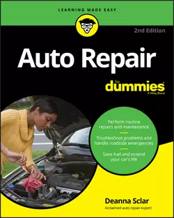 Auto Repair For Dummies Deanna Sclar