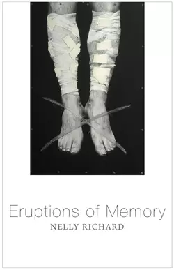 Eruptions of Memory. The Critique of Memory in Chile, 1990-2015, Nelly Richard