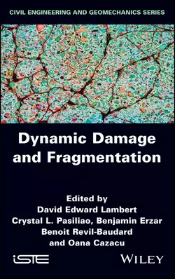 Dynamic Damage and Fragmentation, Oana Cazacu