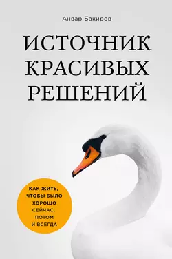 Источник красивых решений. Как жить, чтобы было хорошо сейчас, потом и всегда, Анвар Бакиров