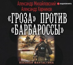 «Гроза» против «Барбароссы», Александр Михайловский