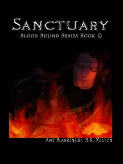 Sanctuary  Amy Blankenship