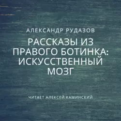 Искусственный мозг Александр Рудазов