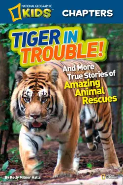 National Geographic Kids Chapters: Tiger in Trouble!: and More True Stories of Amazing Animal Rescues, Kelly Halls