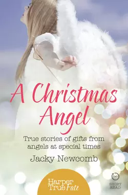 A Christmas Angel: True Stories of Gifts from Angels at Special Times Jacky Newcomb