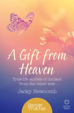 A Gift from Heaven: True-life stories of contact from the other side, Jacky Newcomb